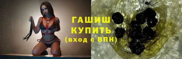 стафф Гусев
