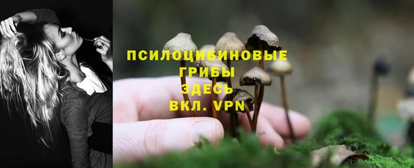 эйфоретик Кирс