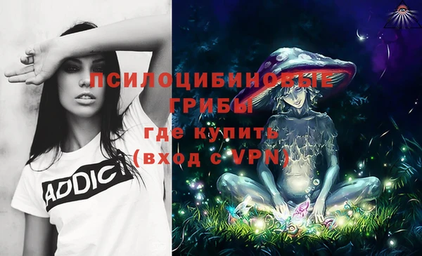 эйфоретик Кондопога