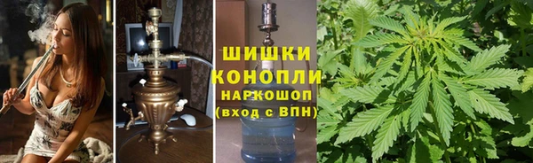 эйфоретик Кирс
