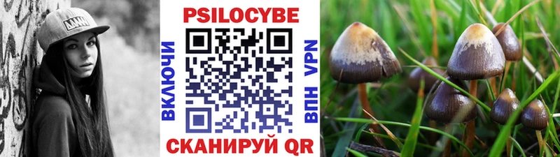 Галлюциногенные грибы Psilocybine cubensis  Костомукша 