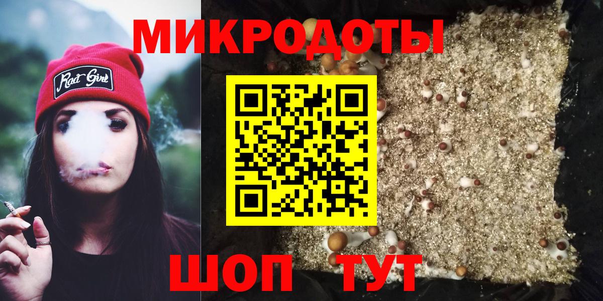 Галлюциногенные грибы Psilocybe Костомукша