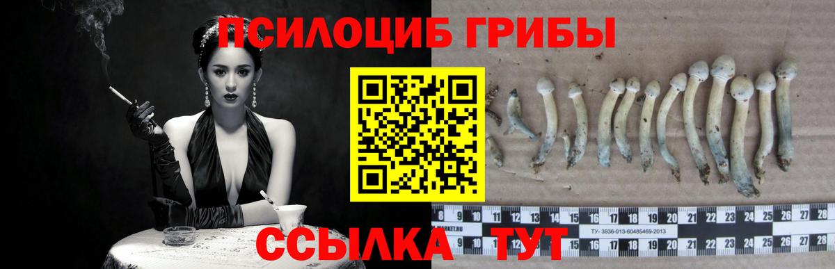 Псилоцибиновые грибы MAGIC MUSHROOMS  Вход с VPN  Костомукша 